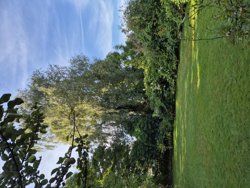 Fælledvej 7, 6100 Haderslev