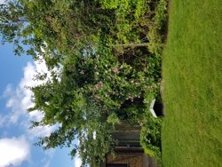 Fælledvej 7, 6100 Haderslev