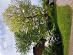 Fælledvej 7, 6100 Haderslev