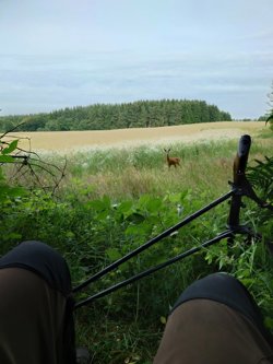 Langmosevej 4, 9750 Østervrå