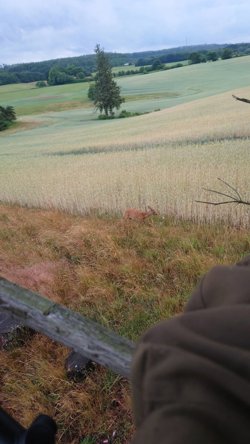 Langmosevej 4, 9750 Østervrå