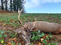 Langmosevej 4, 9750 Østervrå