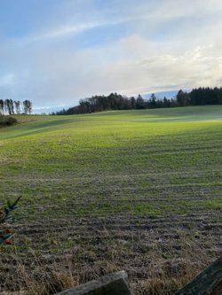 Langmosevej 4, 9750 Østervrå