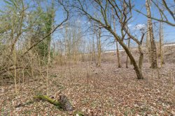 Mosevej 4 + 2, 8870 Langå