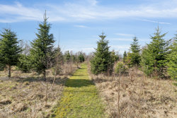 Bjerregårdvej 16, Hammerum, 7400 Herning