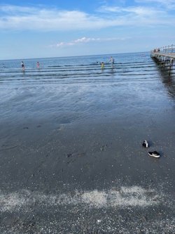 Bugten 13, Bratten, 9981 Jerup