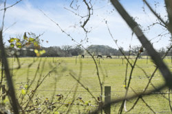 Dystedvej 38, 4684 Holmegaard