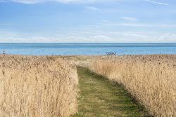 Halvrebene 124, Als, 9560 Hadsund