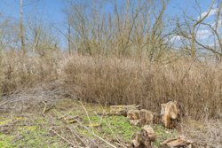 Søndre Molgervej 14, 8700 Horsens