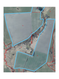 Jord v. Borrevej 8881 Thorsø