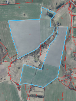 Jord v. Borrevej 8881 Thorsø