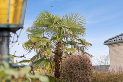 Kærgårdsvej 5, Gram, 8660 Skanderborg