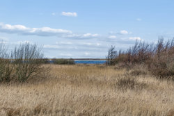 Porsevej 30, Tørring, 7620 Lemvig