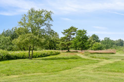 Tranum Engevej 251, 9460 Brovst