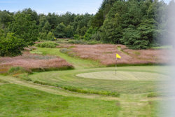 Tranum Engevej 251, 9460 Brovst