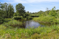 Tranum Engevej 251, 9460 Brovst