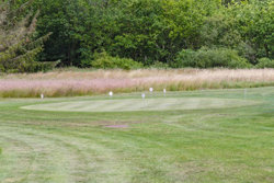 Tranum Engevej 251, 9460 Brovst