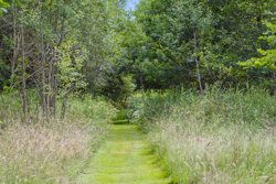 Tranum Engevej 251, 9460 Brovst