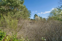 Vegavej 10, Dråby, 8400 Ebeltoft