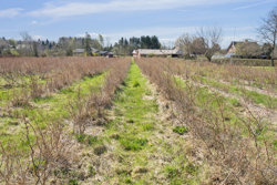 Skelund Hovedgade 40, Skelund, 9560 Hadsund