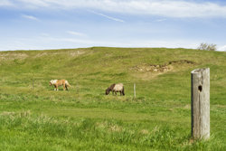 Hobrovej 38, Dalsgård Mrk, 9560 Hadsund