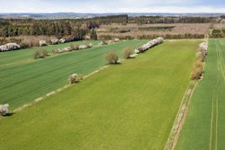 Hobrovej 38, Dalsgård Mrk, 9560 Hadsund