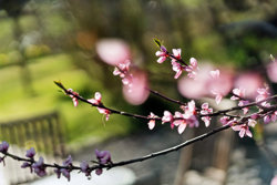 Spovevej 84, Store Sjørup, 8950 Ørsted