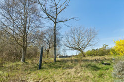 Boeslumvej 25, 8400 Ebeltoft