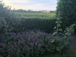 Dejret Bygade 1, 8420 Knebel