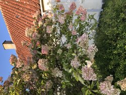 Dejret Bygade 1, 8420 Knebel