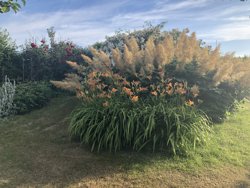 Dejret Bygade 1, 8420 Knebel