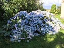 Dejret Bygade 1, 8420 Knebel