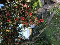 Dejret Bygade 1, 8420 Knebel