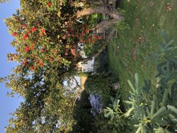 Dejret Bygade 1, 8420 Knebel