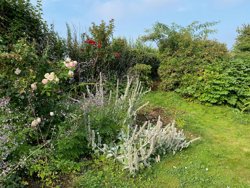 Dejret Bygade 1, 8420 Knebel