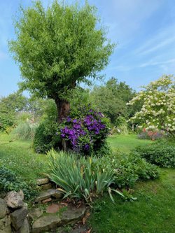 Dejret Bygade 1, 8420 Knebel