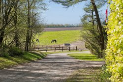 Vejlgårdvej 11, Vejlgårde, 7800 Skive