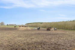 Kirkeskovvej 52, Skjød, 8450 Hammel