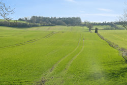 Molsvej 100, Grønfeld, 8400 Ebeltoft