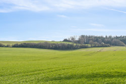 Molsvej 100, Grønfeld, 8400 Ebeltoft