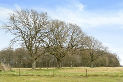 Bøjstrupvej 42, Marie Magdalene, 8550 Ryomgård