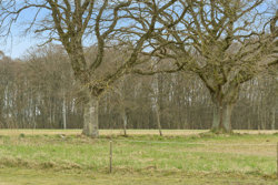 Bøjstrupvej 42, Marie Magdalene, 8550 Ryomgård