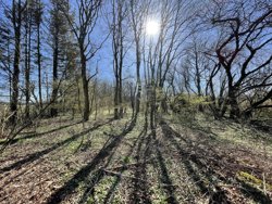 Lundgårdsvej 1C, Lundgård, 8800 Viborg