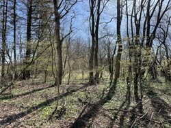 Lundgårdsvej 1C, Lundgård, 8800 Viborg