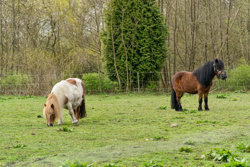 Skovvangsvej 53, Barløse, 5610 Assens