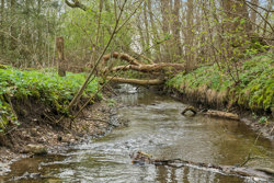 Skovvangsvej 53, Barløse, 5610 Assens