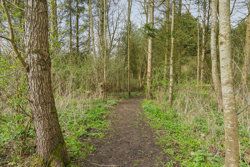 Skovvangsvej 53, Barløse, 5610 Assens