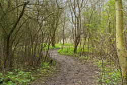 Skovvangsvej 53, Barløse, 5610 Assens