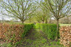 Skovvangsvej 53, Barløse, 5610 Assens