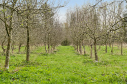 Skovvangsvej 53, Barløse, 5610 Assens